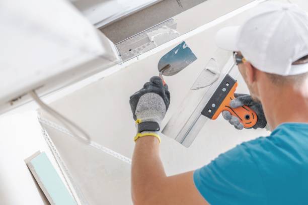 Best Mold Removal for HVAC Installations  in Hoopers Creek, NC